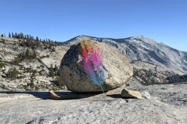 Photo by Hari Singh Tanwar on Unsplash