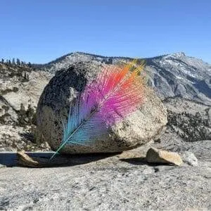 The Tale of the Feather of a Bee Hummingbird and a Glacial Boulder