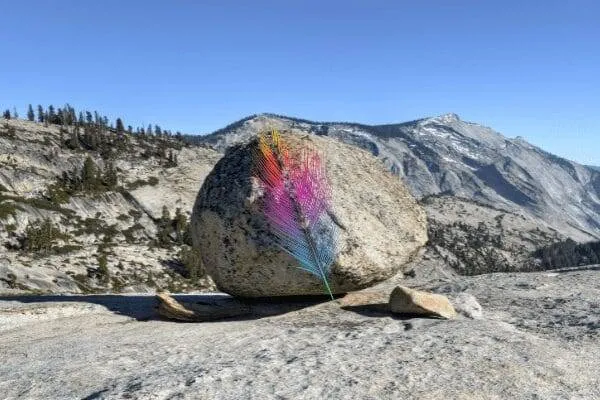 Photo by Hari Singh Tanwar on Unsplash