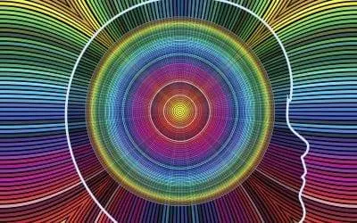 Understanding Sensory Processing Difficulties