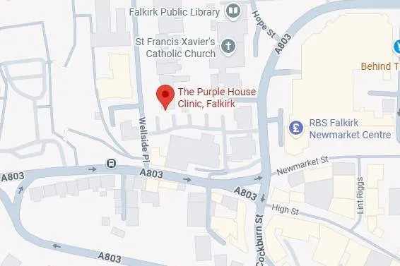Purple-House-Clinic-Falkirk-Psychologists Map showing Purple House Clinic Falkirk location with red pin on Wellside Place near A803